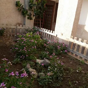 Casa vacanze Orchidea House, SantʼAntìoco